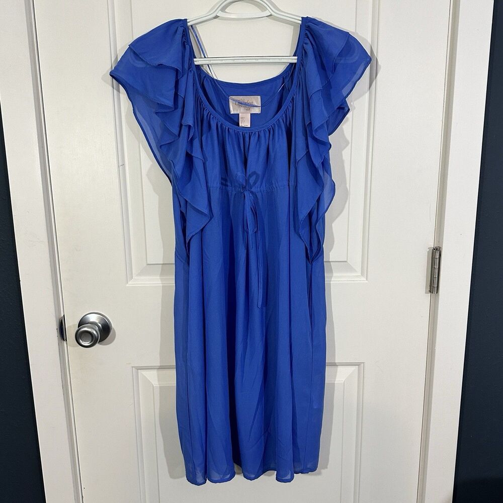 Flutter Sleeve Mini Dress Womens Size 4 Blue Boho Fairy H&M
